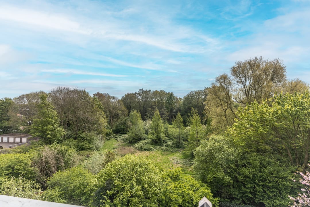 Photo 31 of Meidoornweg 230