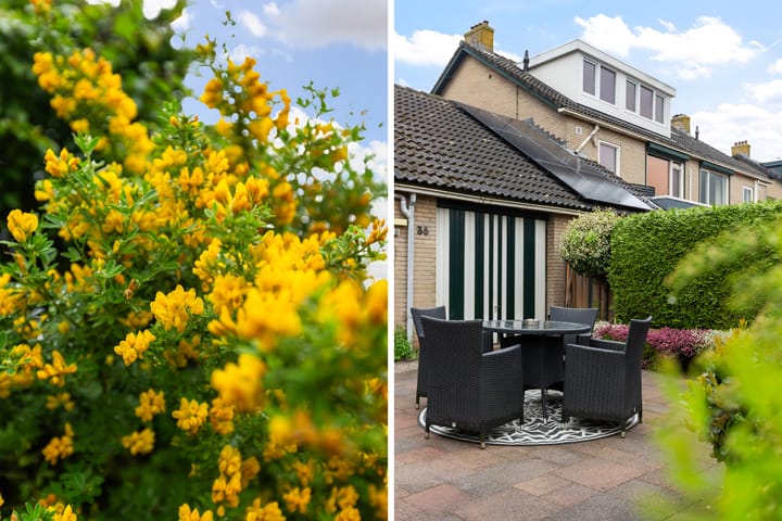 Foto 44 van Gravin Sabinastraat 35