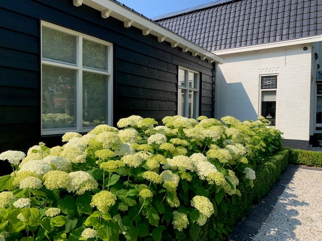 Foto 52 van Heveringseweg 64