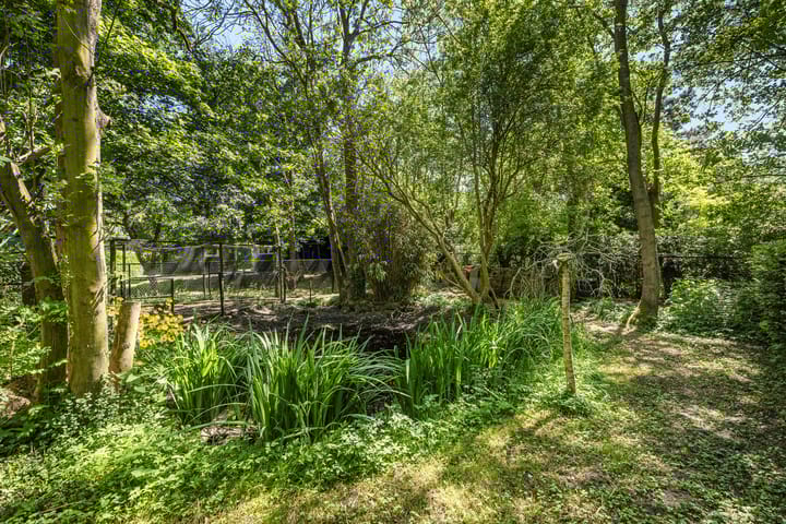 Foto 67 van Heveringseweg 64