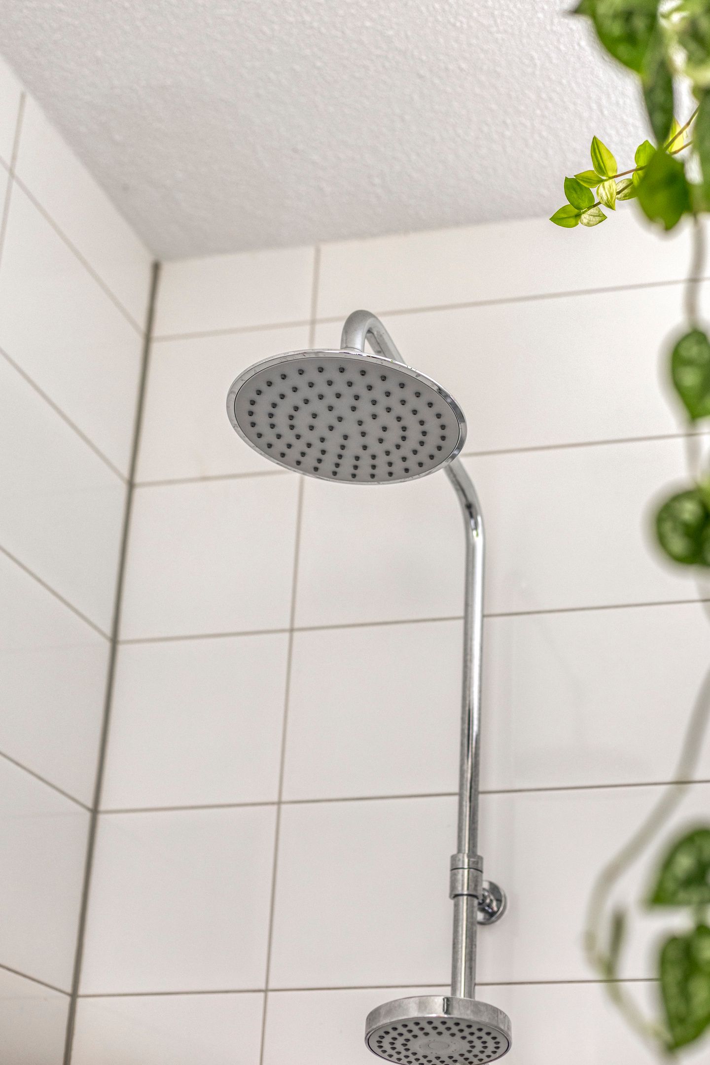 Foto 19 van Cornelis Lelyhage 32