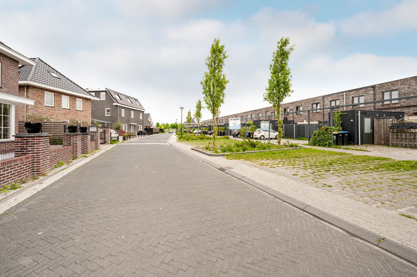 Foto 59 van Zeepkruidstraat 14