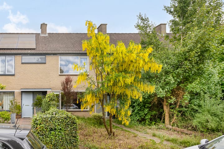 Foto 8 van Drentesingel 52