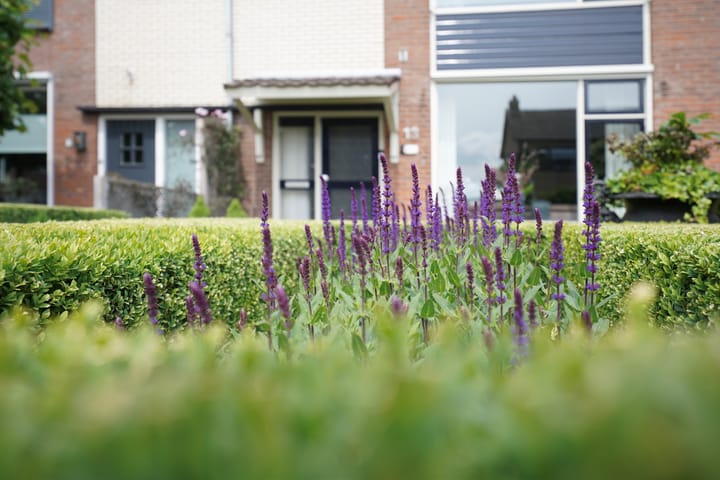 Foto 5 van Vondelstraat 13