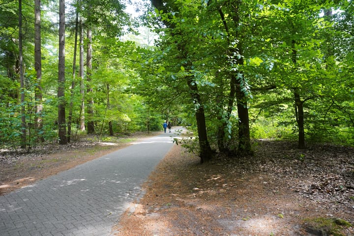 Foto 44 van Vondelstraat 13