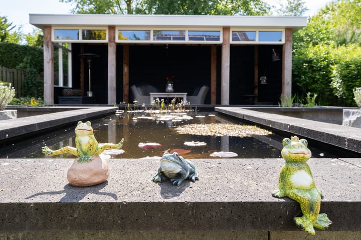 Photo 36 of Rustenburgerweg 74