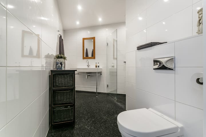 Foto 13 van Ganzenveer 48