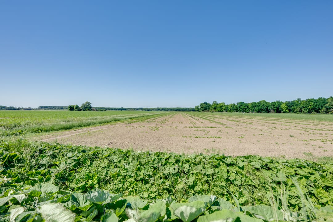 Foto 62 van Van Wassenaerlaan 12