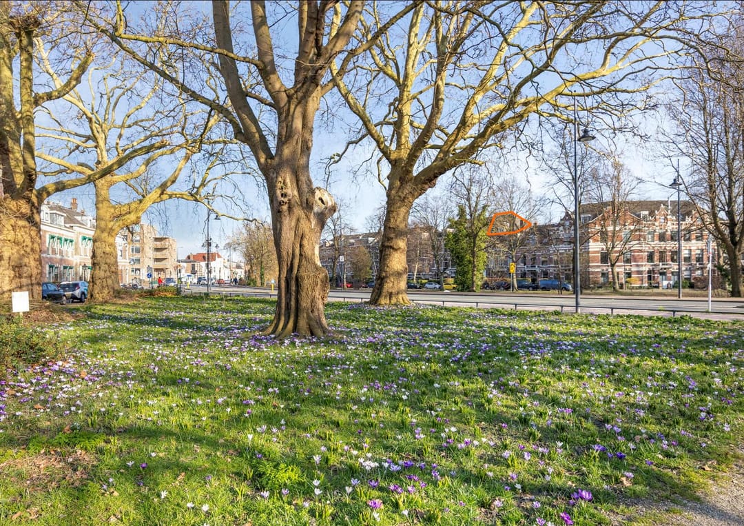 Foto 28 van Zoeterwoudsesingel 101-C