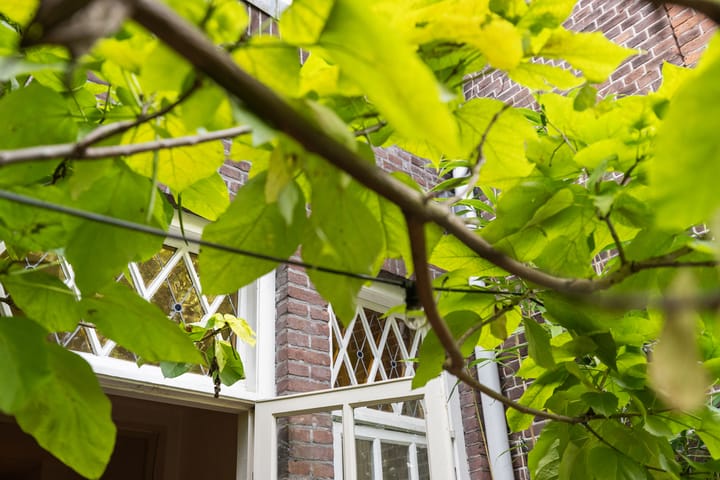 Foto 55 van Mathenesserlaan 459