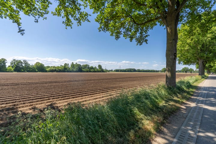 Photo 29 of Graafsedijk 29