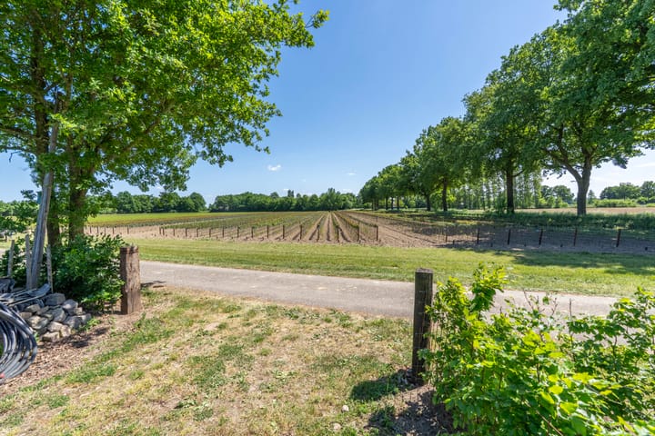 Photo 39 of Graafsedijk 29