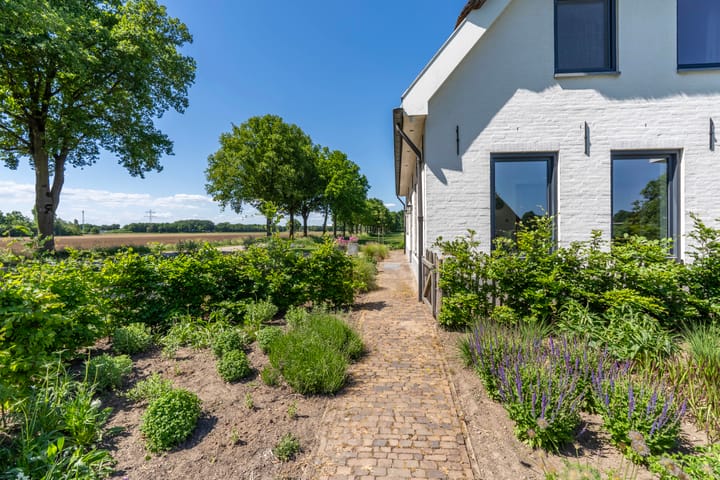 Photo 41 of Graafsedijk 29