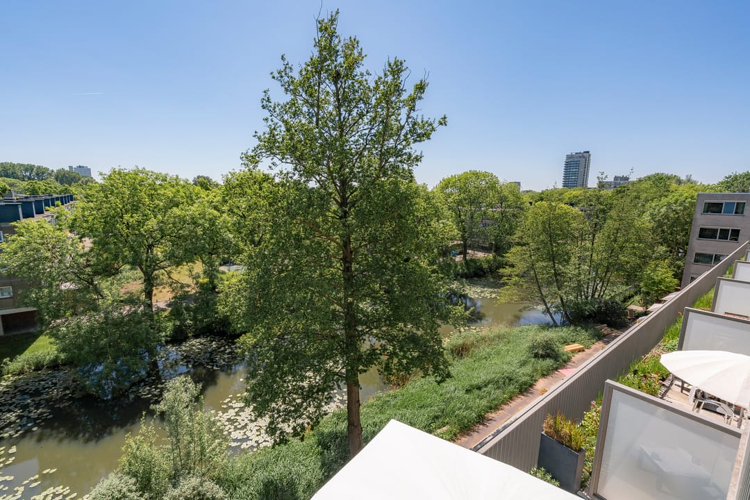 Photo 11 of De Klencke 93-B