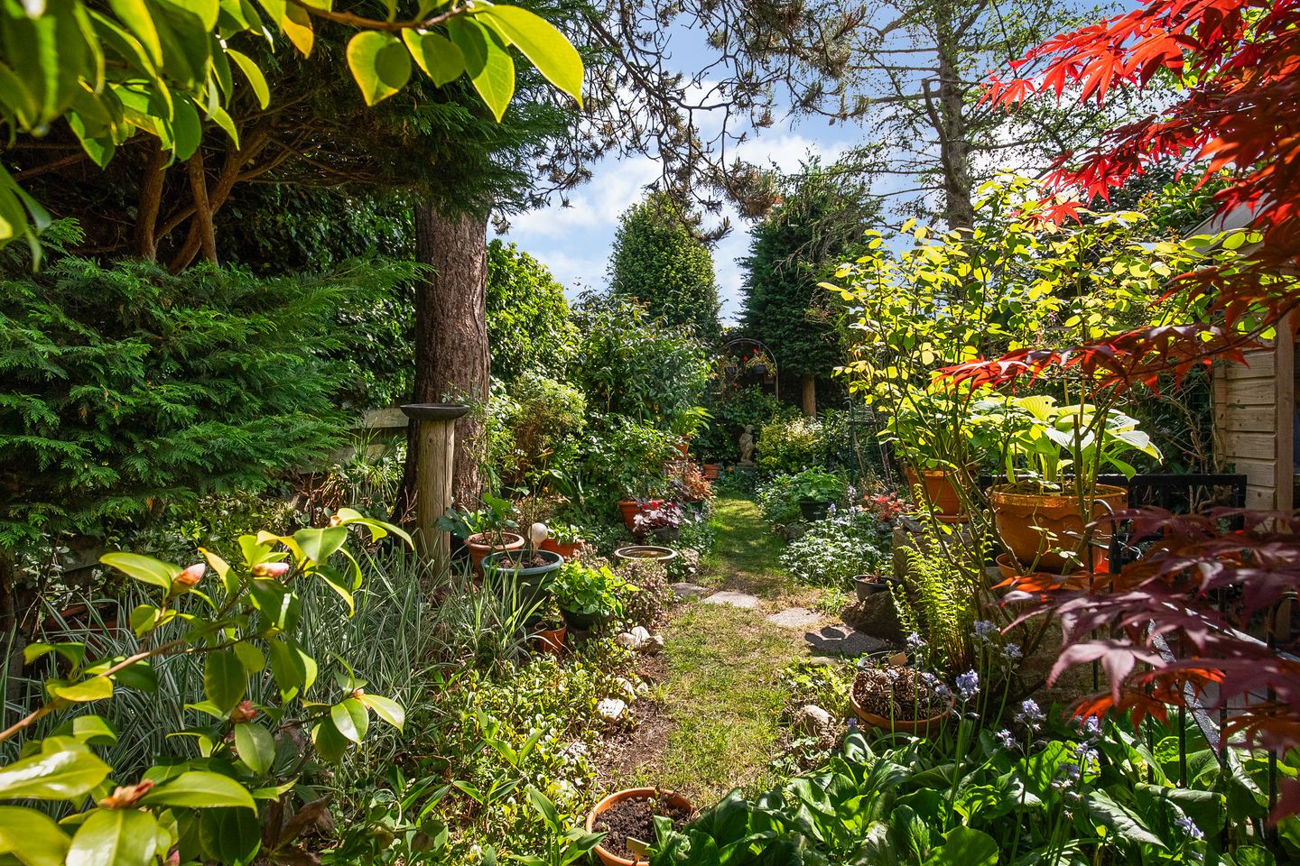 Foto 4 van Kennemerstraatweg 253