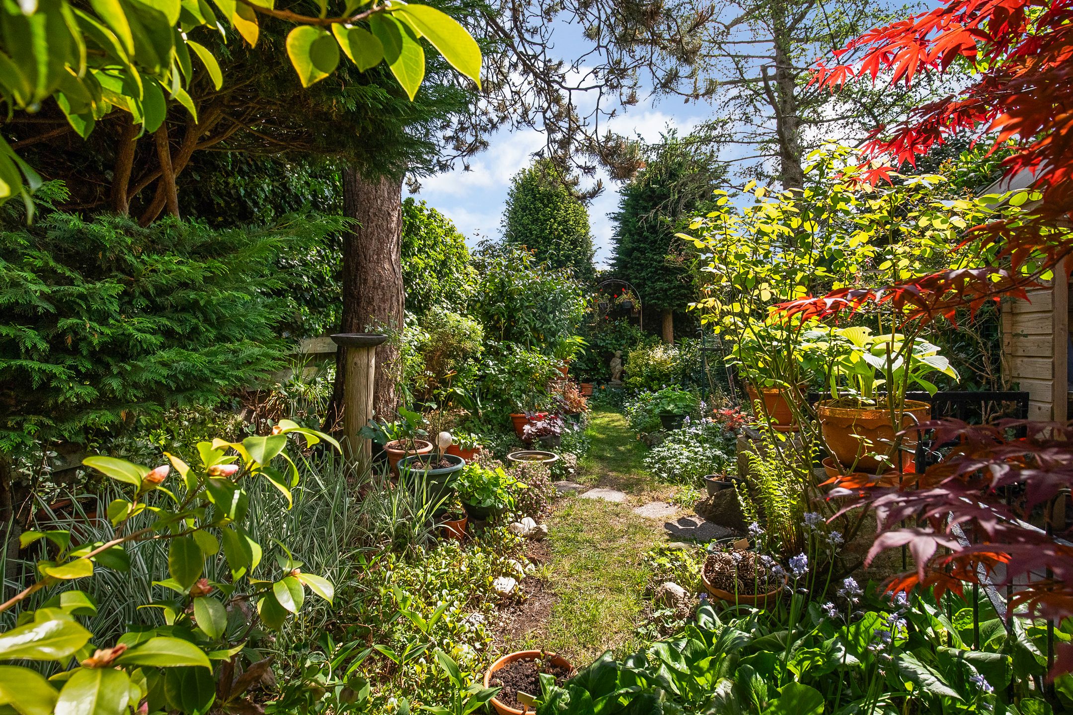 Foto 42 van Kennemerstraatweg 253