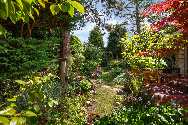 Foto 42 van Kennemerstraatweg 253