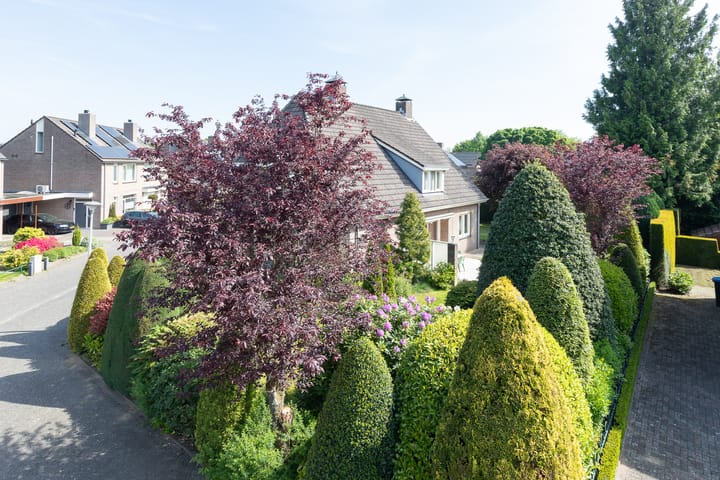 Foto 56 van Jagerwei 9