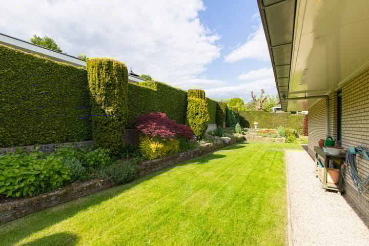 Foto 31 van Apollaan 10