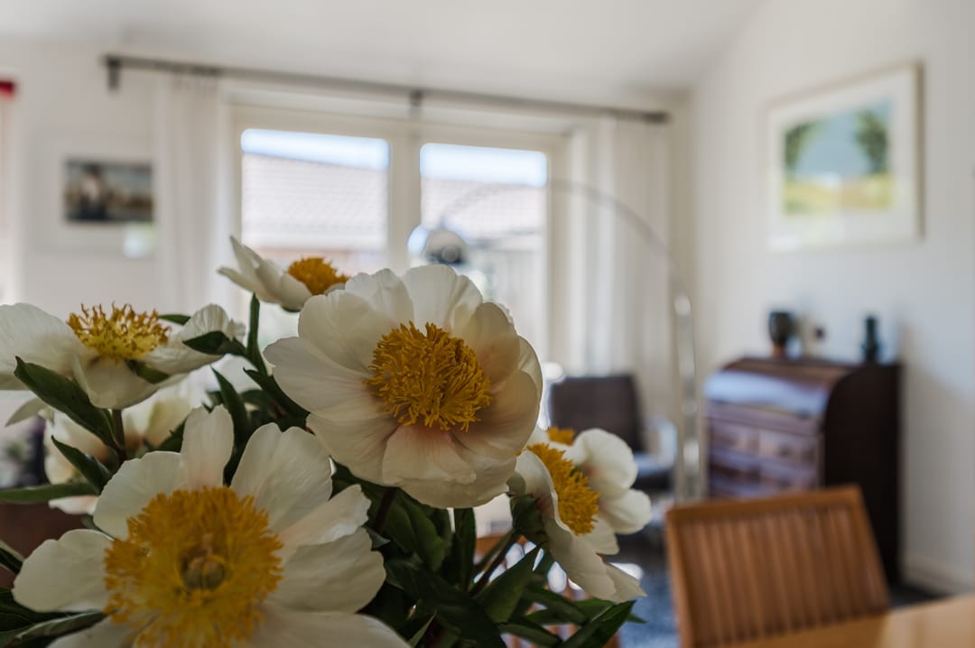 Foto 16 van Winde 15