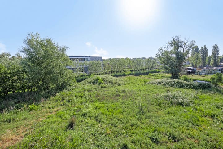 Foto 4 van Malledijk