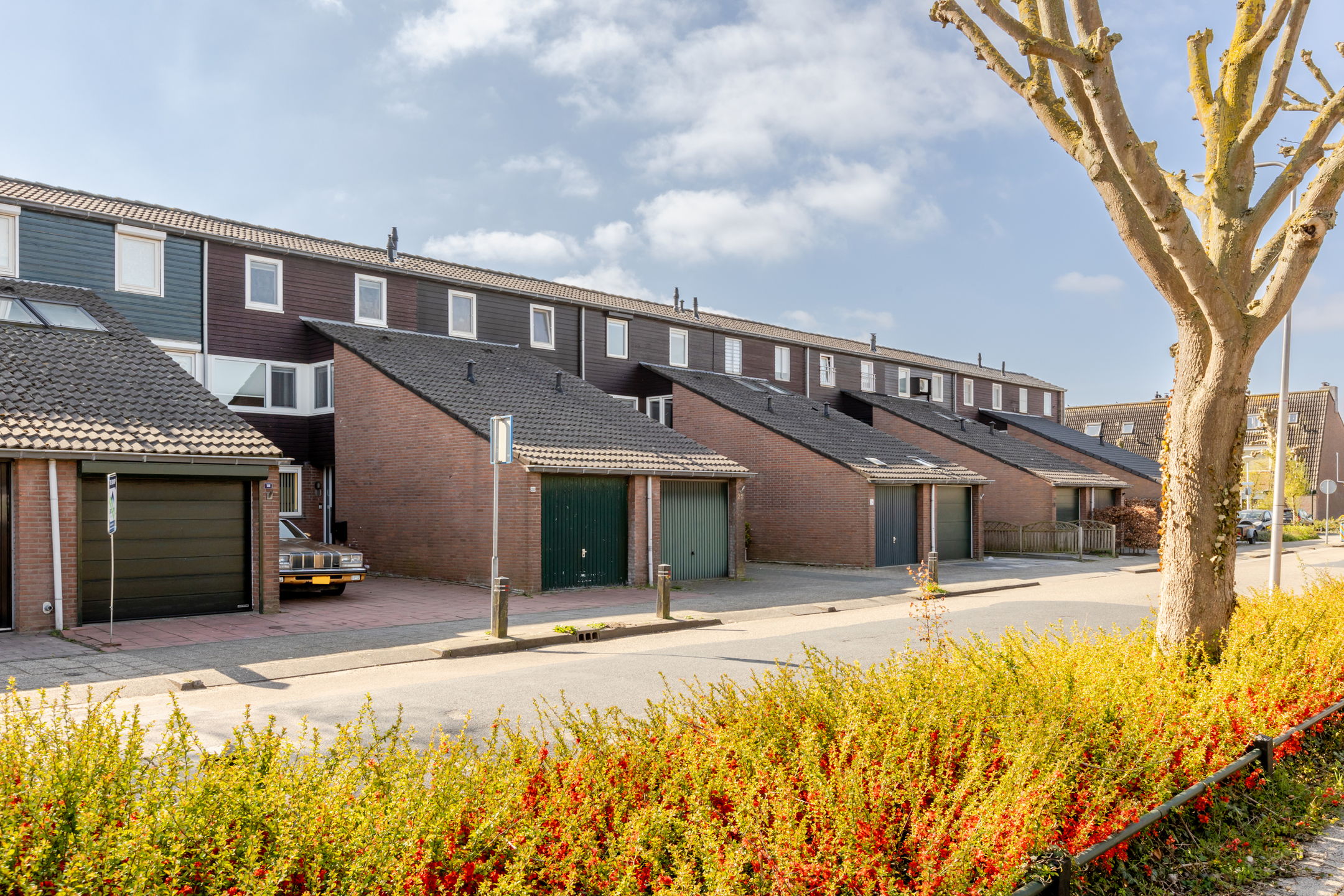 Photo 6 of Weidezoom 20