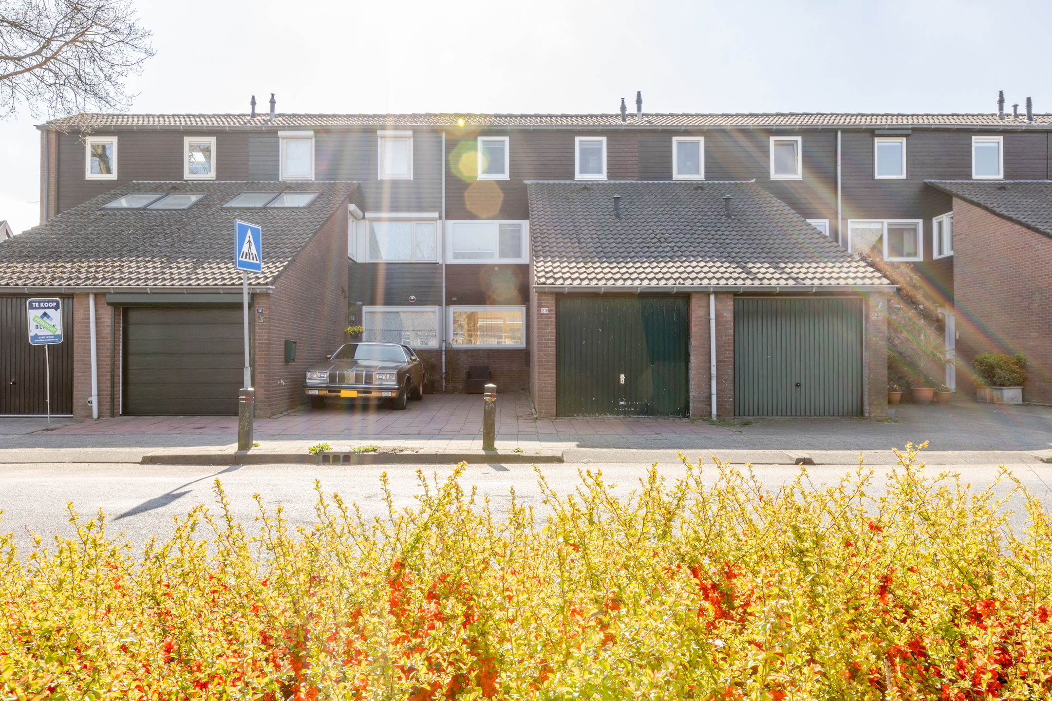 Photo 27 of Weidezoom 20