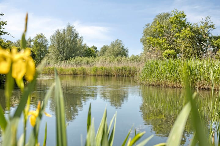 Foto 4 van Menno ter Braakplein 31