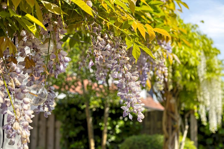 Foto 26 van Menno ter Braakplein 31