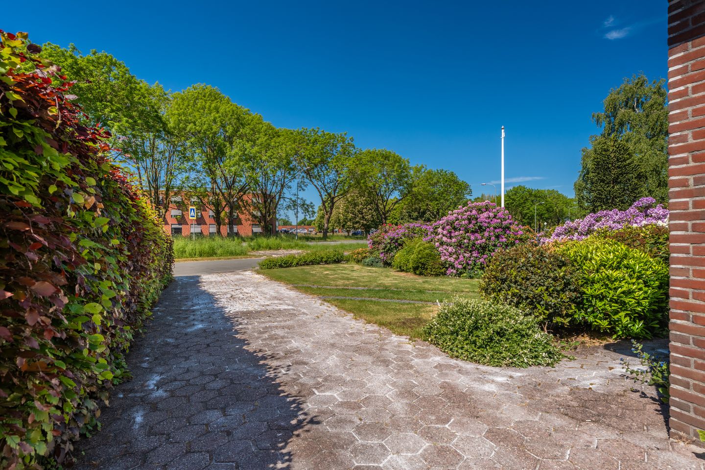 Foto 4 van Blijhamsterweg 72