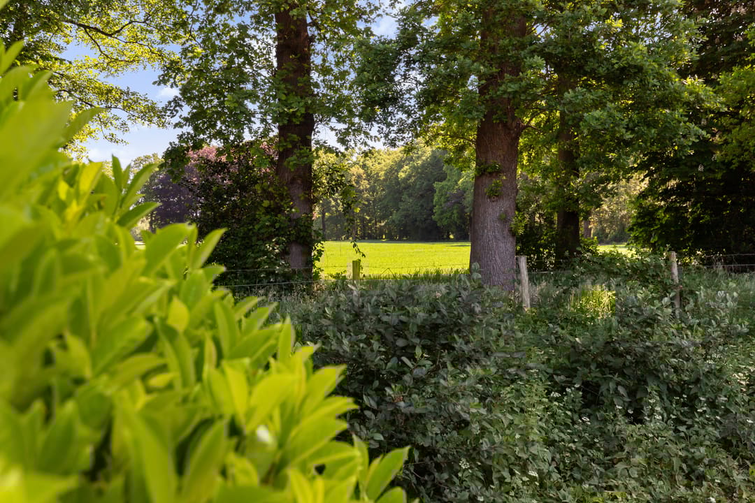 Foto 41 van Van Kluijvelaan 32