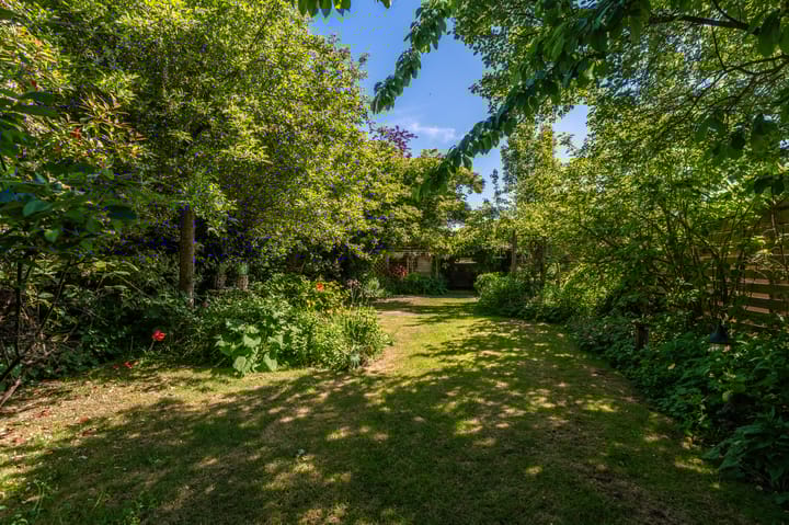 Foto 58 van Blijhamsterweg 72