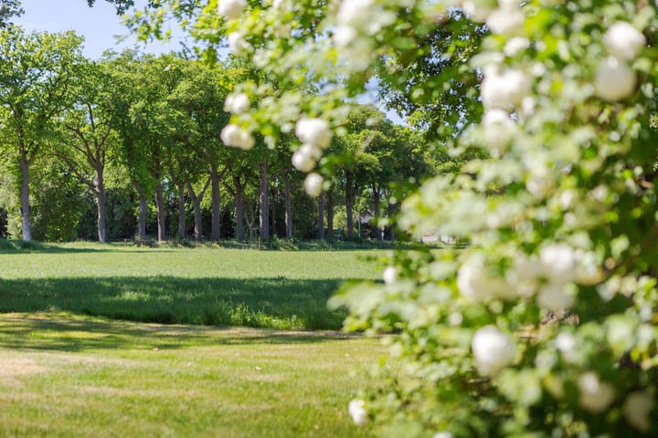 Foto 5 van Boijlerweg 21