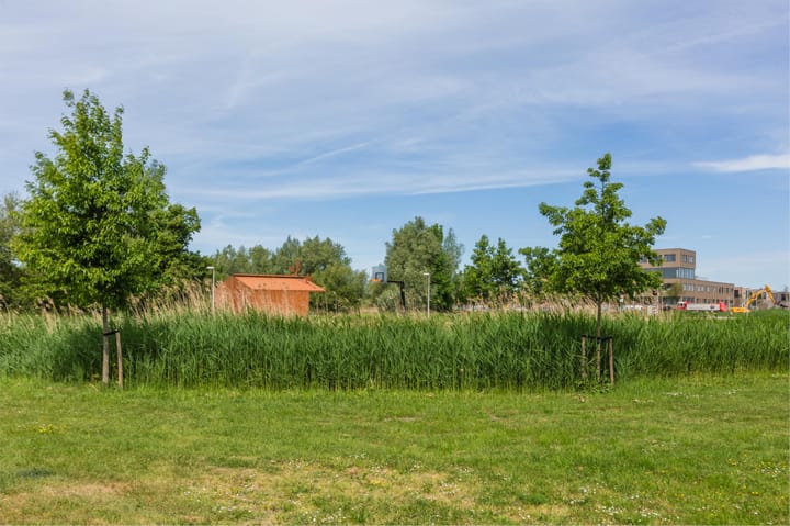 Foto 52 van Shipovalaan 11