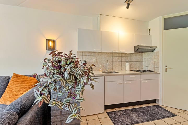 Photo 9 of Herckenstein 45