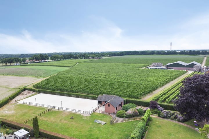 Photo 55 of Thoorderstraat 17