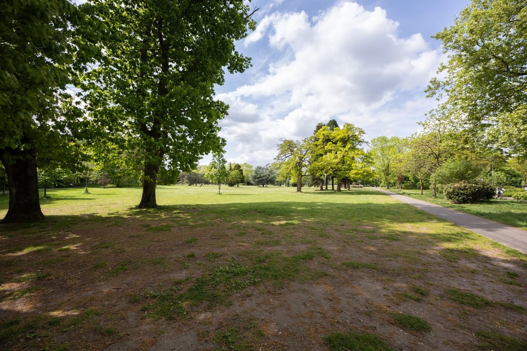 Foto 52 van Leeuwstraat 38