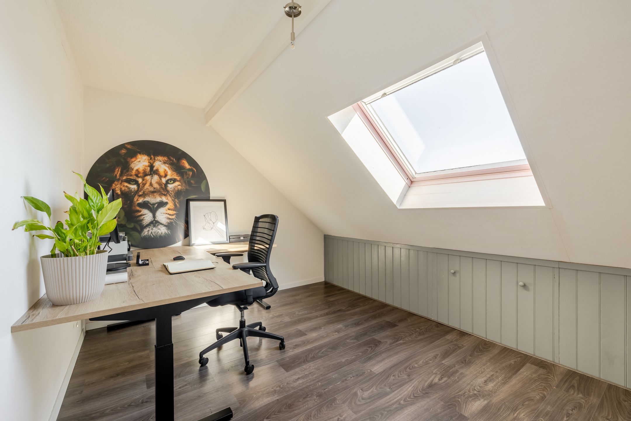 Foto 39 van Hoefblad 88