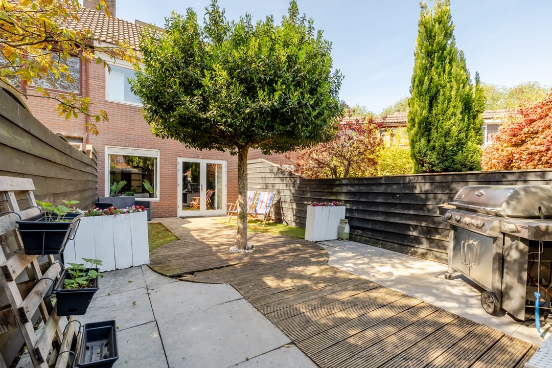 Foto 46 van Hoefblad 88