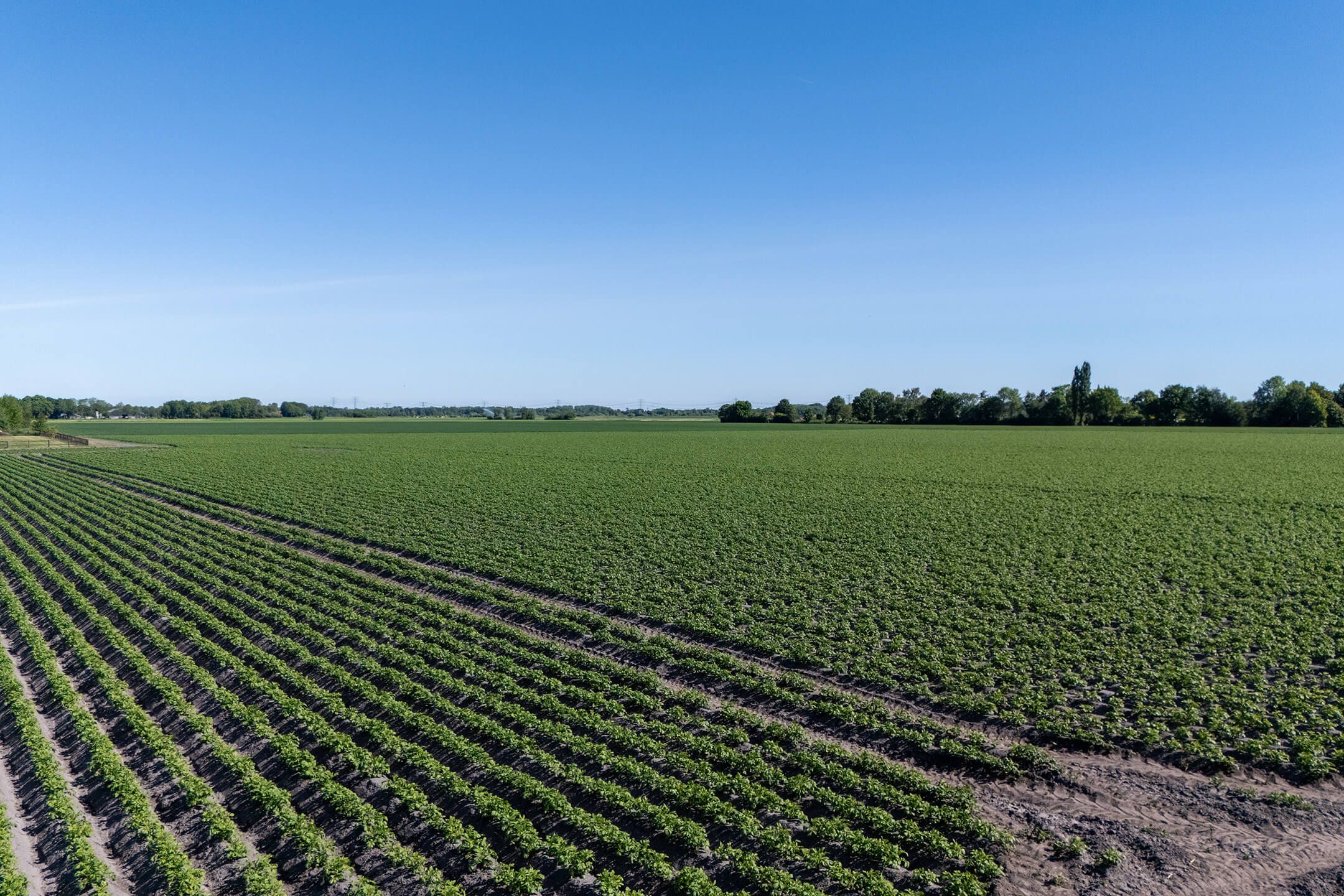 Foto 60 van Hoofdweg 162