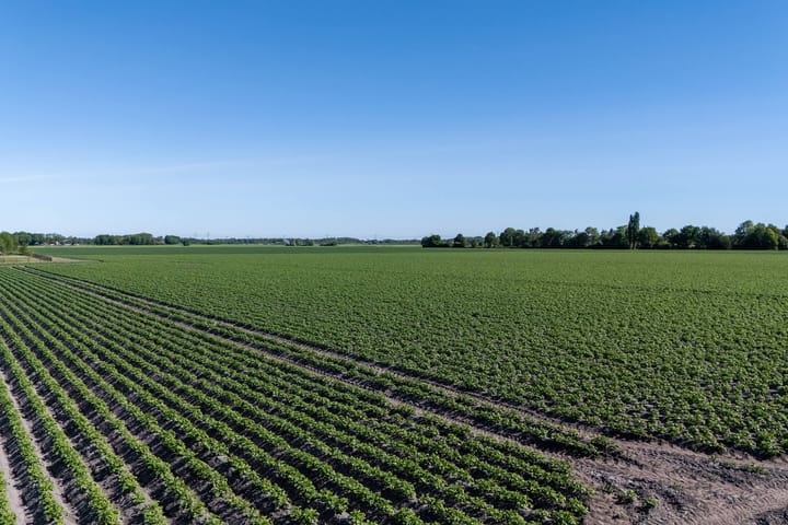 Foto 60 van Hoofdweg 162