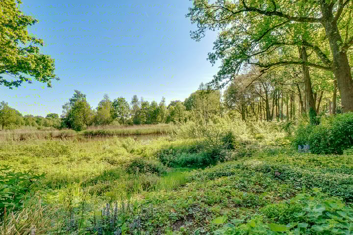 Photo 78 of Haarweg 1-C