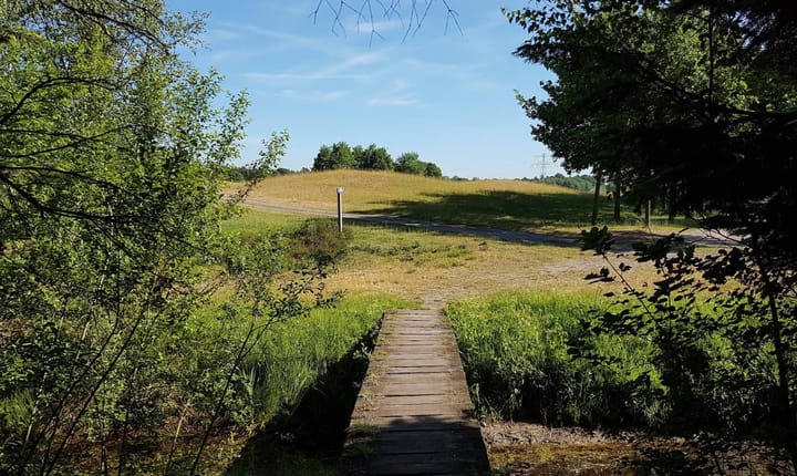 Photo 80 of Haarweg 1-C