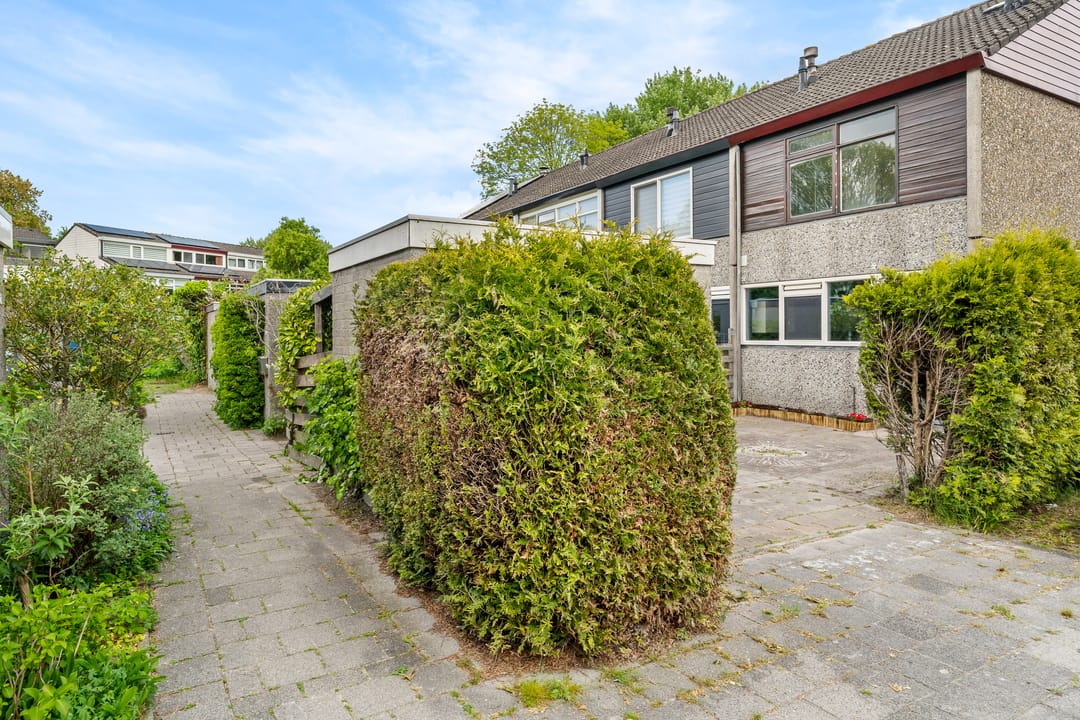 Foto 41 van Kamgras 123