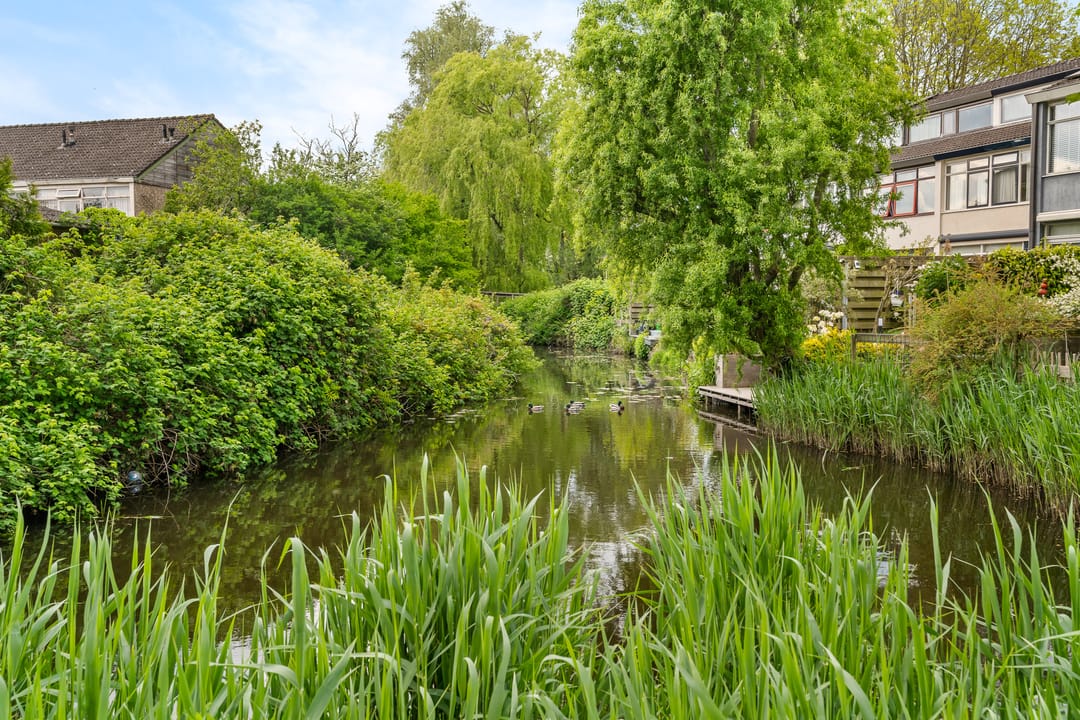 Foto 43 van Kamgras 123