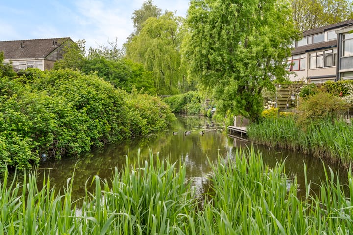 Foto 43 van Kamgras 123