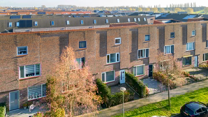 Foto 1 van Citroenkruid 32