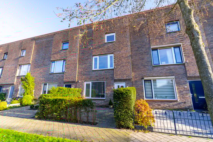 Foto 5 van Citroenkruid 32