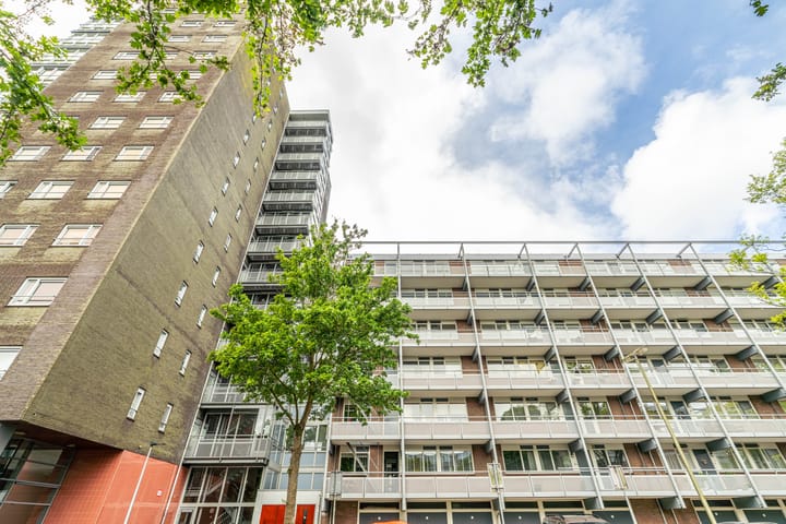 Foto 2 van Kievitstraat 36