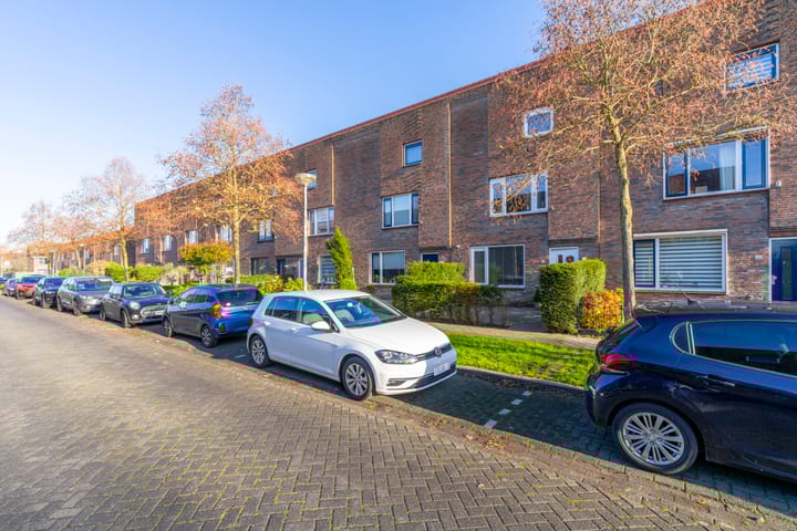 Foto 46 van Citroenkruid 32